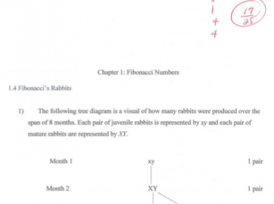 Student-created solution set